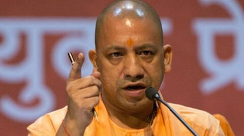 cm yogi 1724486191248 16 9 7Syt2p