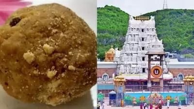 tirupati laddoos controversy 1726840410460 16 9 TnJMAb