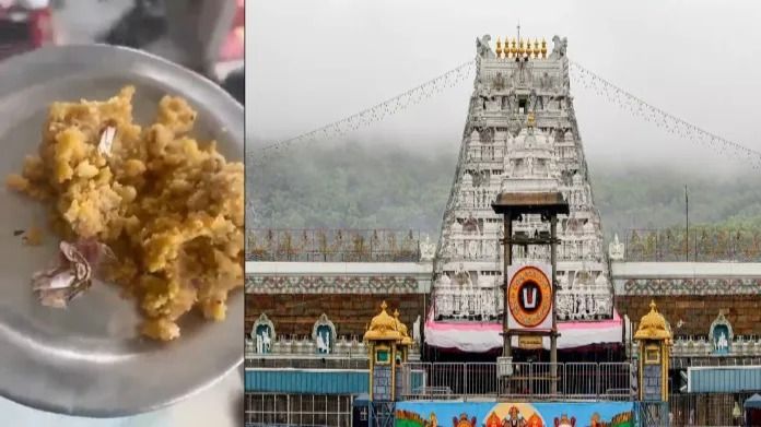 tirupati mandir controversy gutkha packet found in prasad 1727333519143 16 9 uamWdh