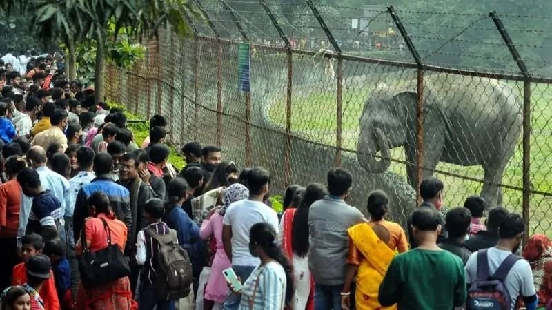 country oldest alipore zoo in kolkata gets heritage status 1730206725483 16 9