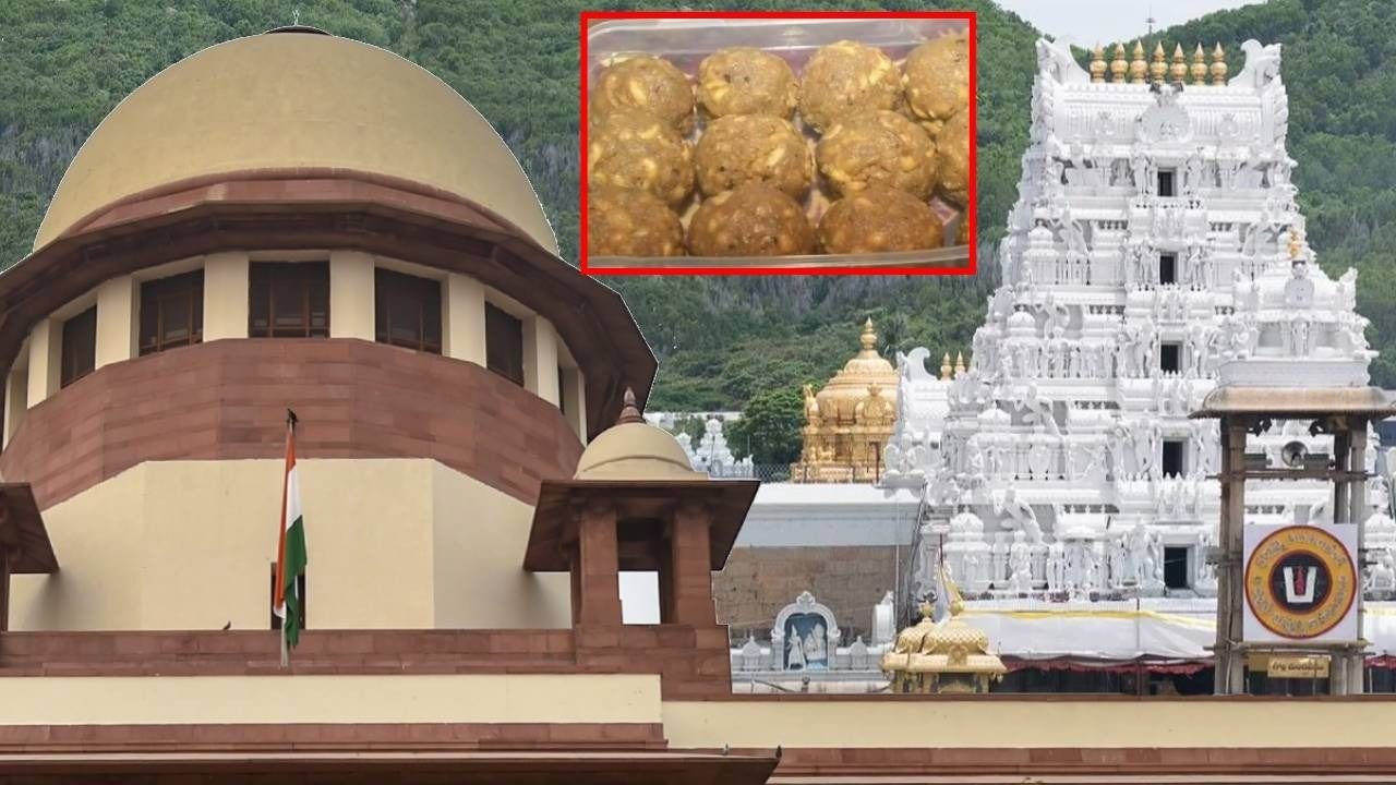 hearing in supreme court on tirupati laddu controversy 1727687100024 16 9 0YHgo2