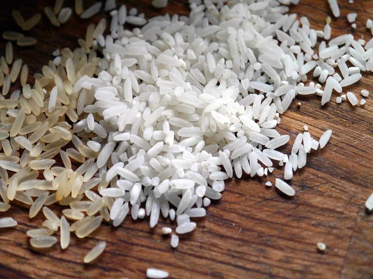 rice JgmiYt