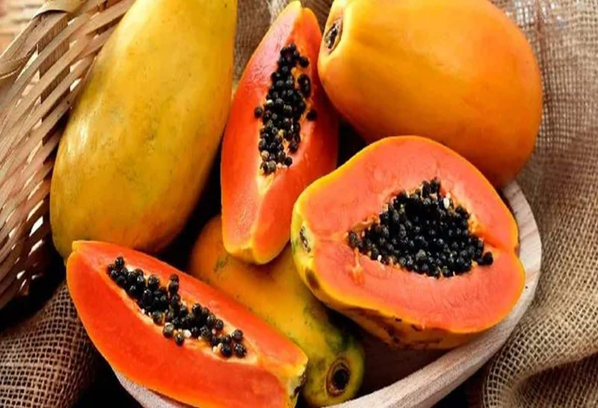 Papaya14Nov aTwvat