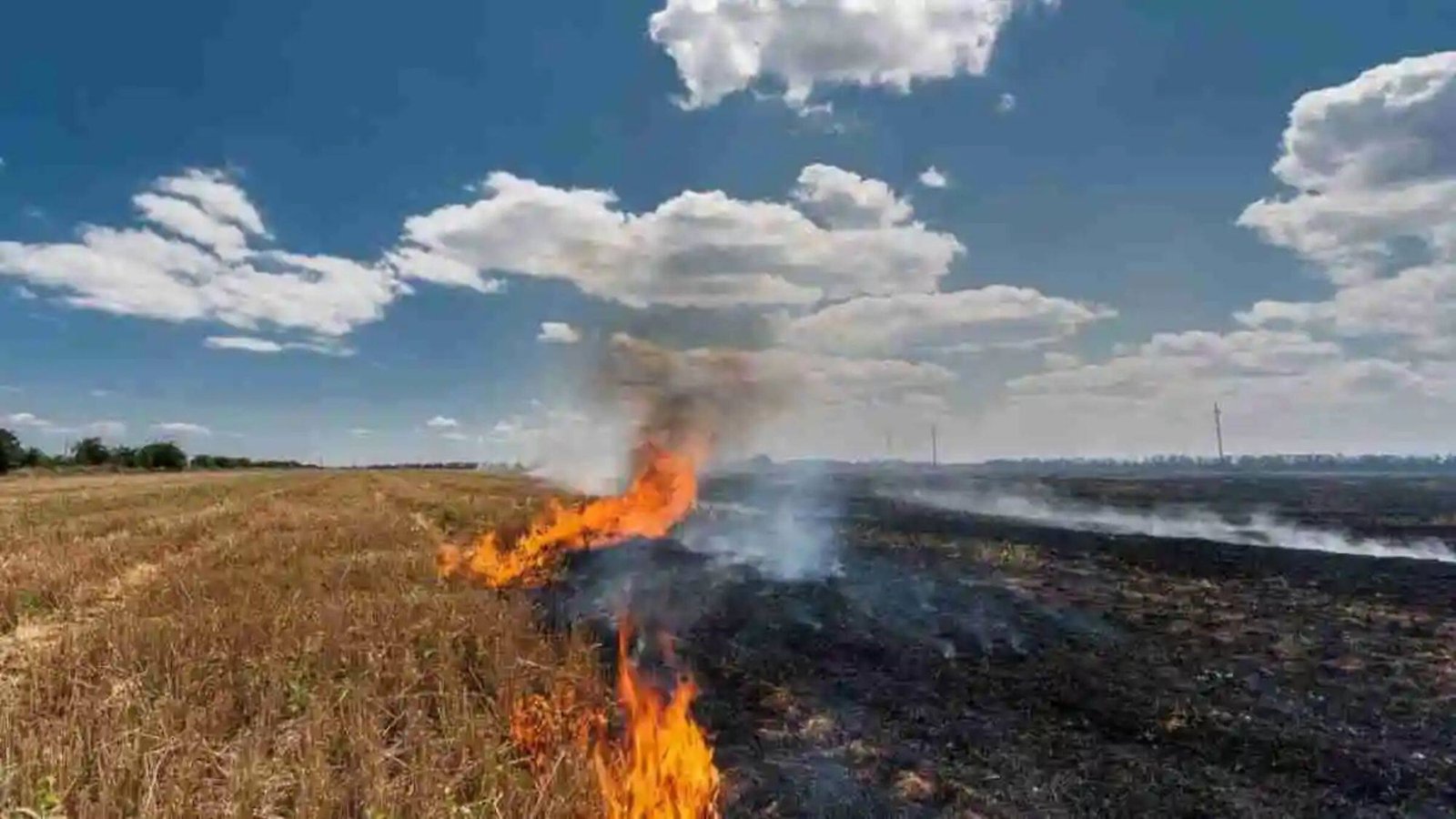 Stubble Burning 8SIsbj