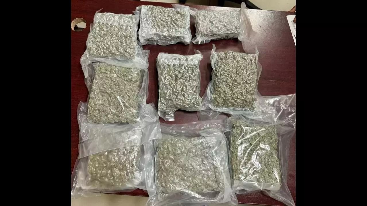 dri seizes marijuana 1730466717246 16 9 IgcKfq