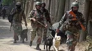 indian army dog makes supreme sacrifice while tracking terrorists 1730129131700 16 9 5bcvf4