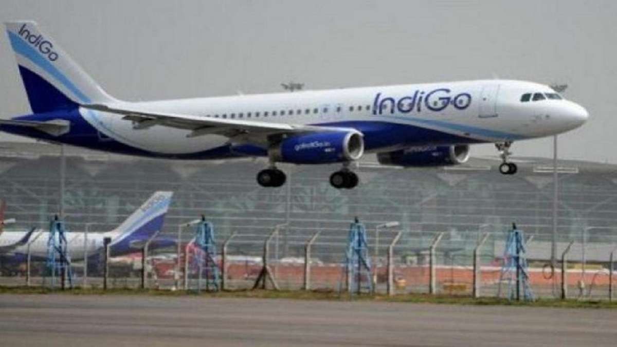 indigo pti 1650000823 1651170372 171552954302316 9 UBwVkB