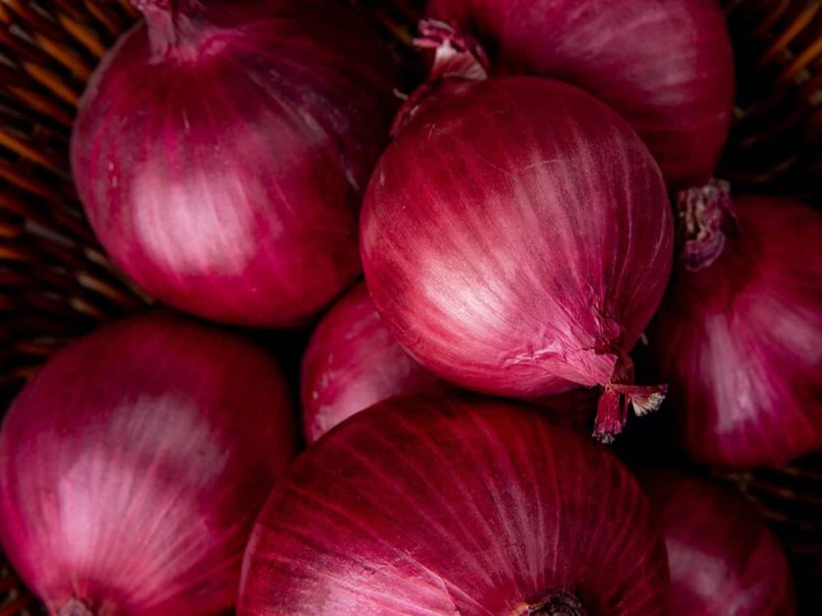 onion1 oKGmOW