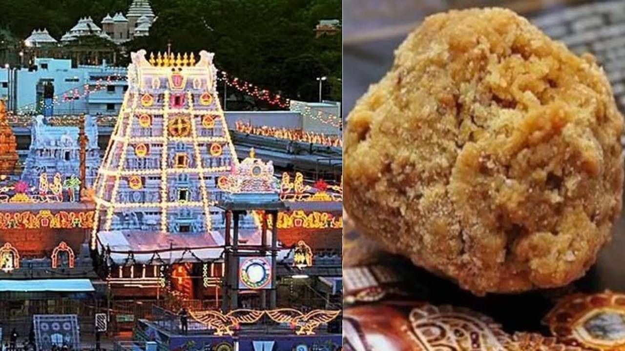 tirupati mandir laddu controversy 1726832346144 16 9 lpmXgD