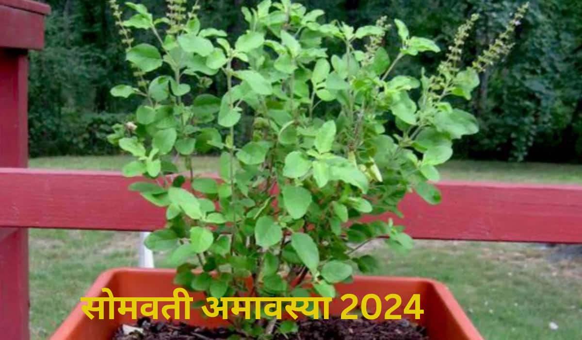 Somvati Amavasya 2024 RHukyR