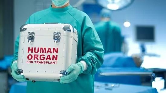 annual organ transplants in india rises by more than three times in last 10 years 1722706392569 16 9