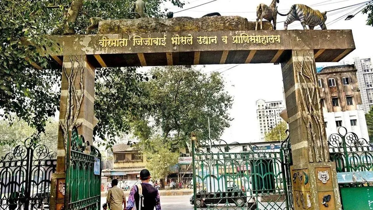 byculla zoo to remain open on wednesday on account of christmas bmc 1734965105999 16 9 Hj1iDq