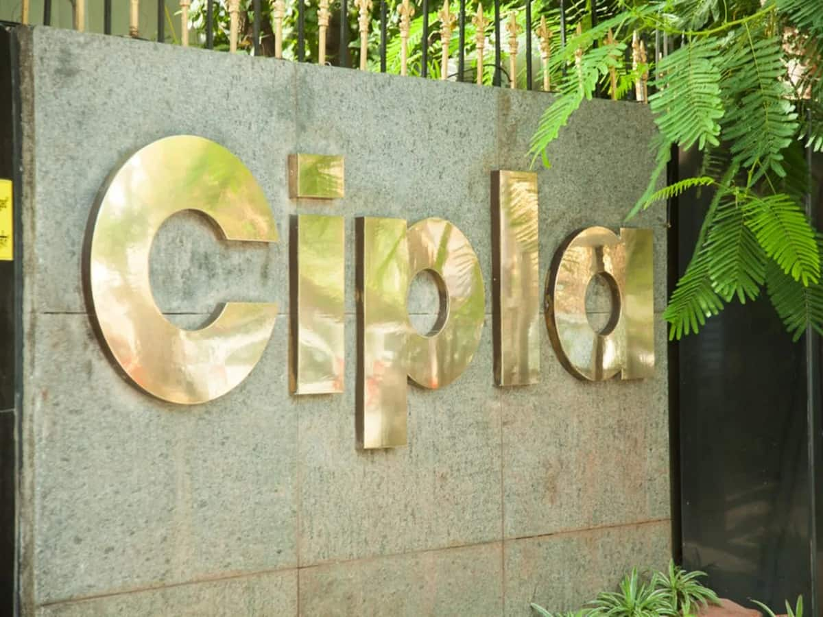 cipla 1 CVwXNV