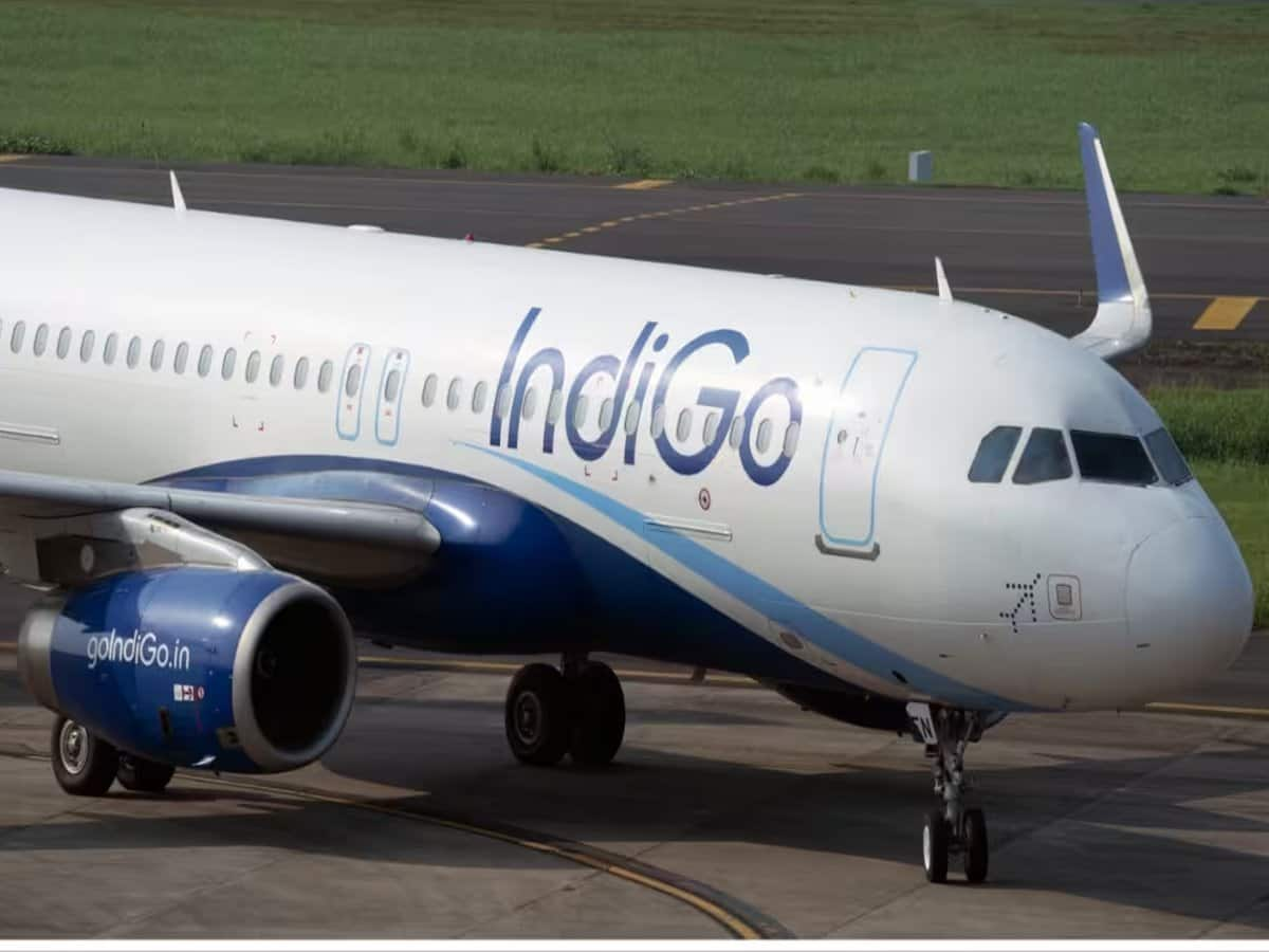 indigo iElcc8