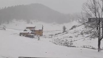 jammu and kashmir s gulmarg receives fresh snowfall 1733656876735 16 9 4qseLV