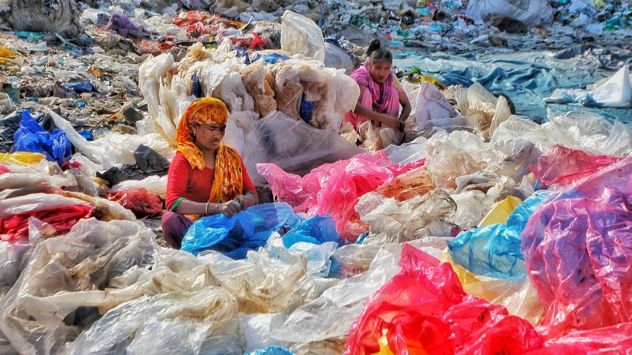 plastic pollution 1732732668920 16 9 37Cut0