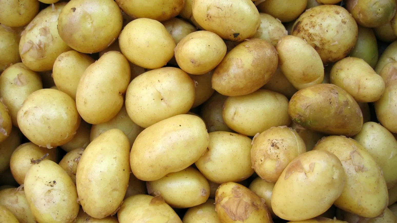 potatoes 170542516987516 9 EIGB0l