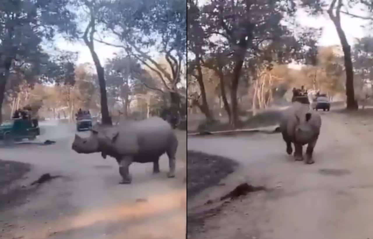 Kaziranga Viral Video 5lMpHO