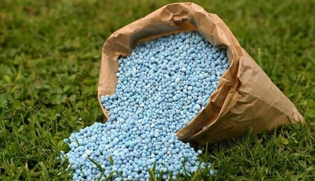 fertilizer subsidy J5v2oy