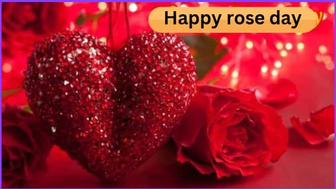 Rose day: गर्लफ्रेंड की तारीफ करना चाहते हैं तो कौन सा गुलाब दें! जानिए हर रंग की अहमियत