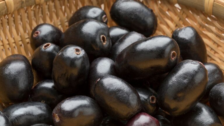 Jamun Seeds for Diabetes: शुगर के मरीजों के लिए वरदान है ये छोटा बीज, जानिए कैसे करें इसका सही इस्तेमाल