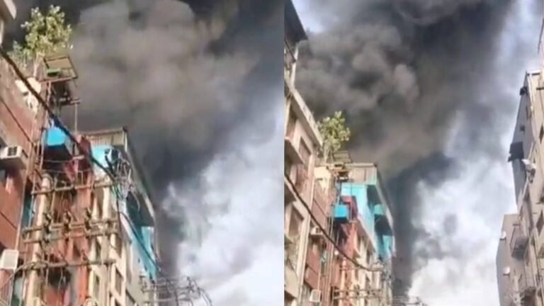 Delhi की फैक्ट्री में लगी भयंकर आग, आसमान में उठा काले धुएं का गुबार; मौके पर दमकल की 14 गाड़ियां